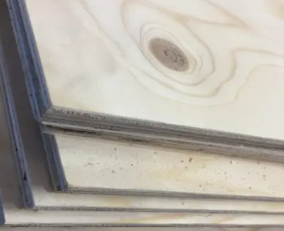 spruce flooring