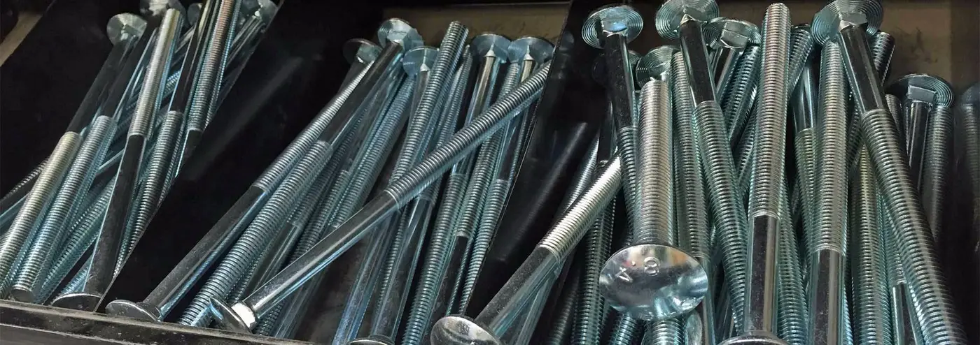 Coach bolts