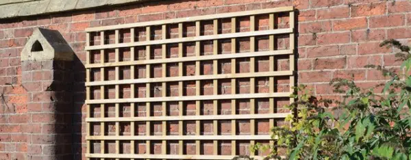 Trellis